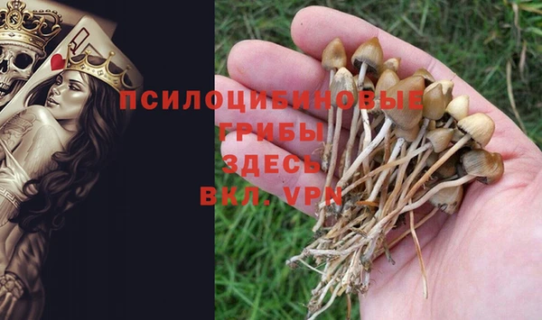сатива Лихославль