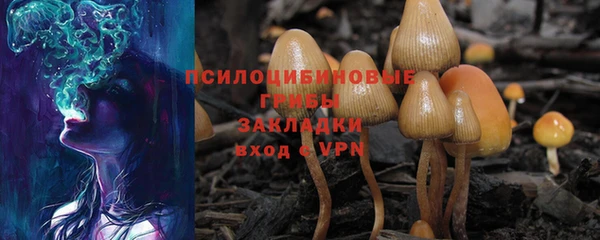 трава Липки