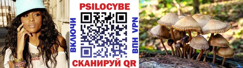Псилоцибиновые грибы Magic Shrooms  купить   Пенза 