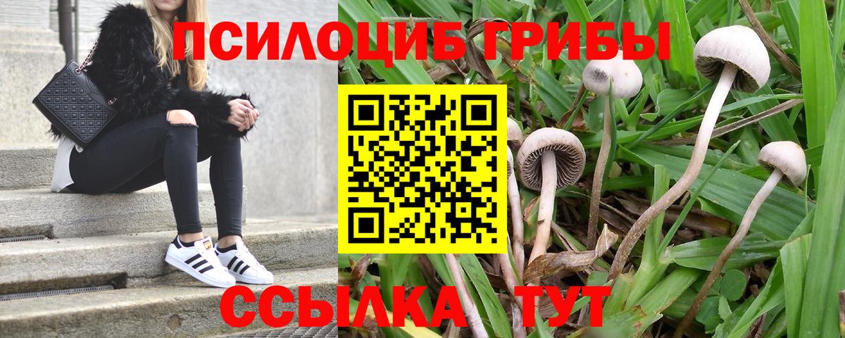 Пенза  Галлюциногенные грибы ЛСД  Вход с VPN 