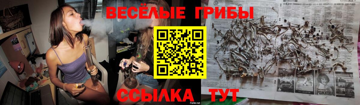 Галлюциногенные грибы Psilocybine cubensis Пенза